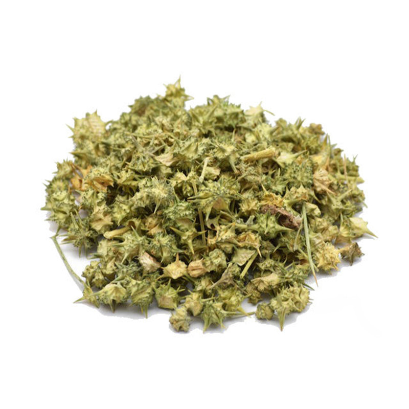 قند خونتو با دمنوش خارخاسک دکتر بیز کنترل کن!